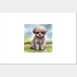 Cute Maltipoo Puppy Art 3 Posters and Art